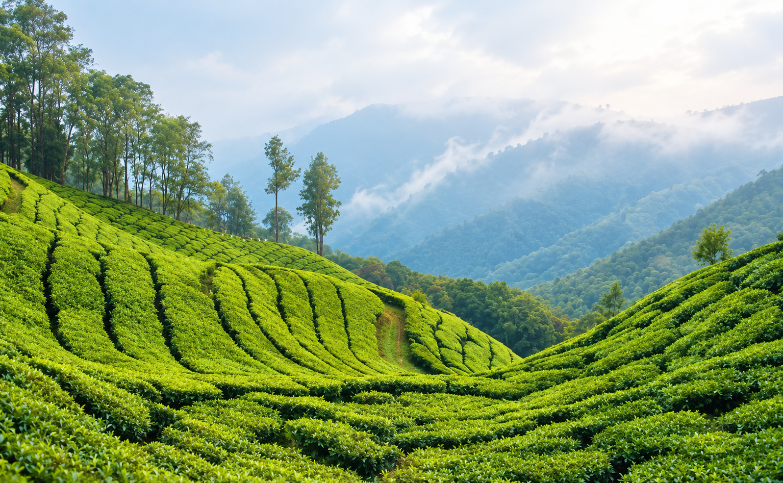 Malabar hills